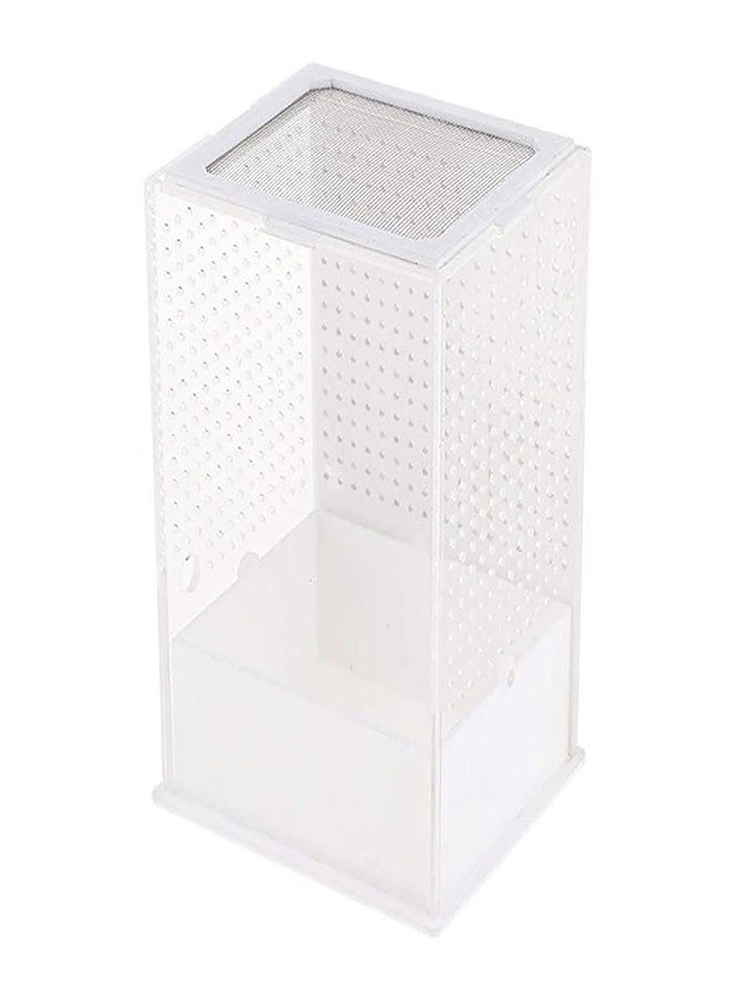 OMEM Reptile Breeding Box, Insect Incubator, for Orchid Mantis, African Phantom Mantis, Reptile Resting Habitat and Entertainment - Image 1